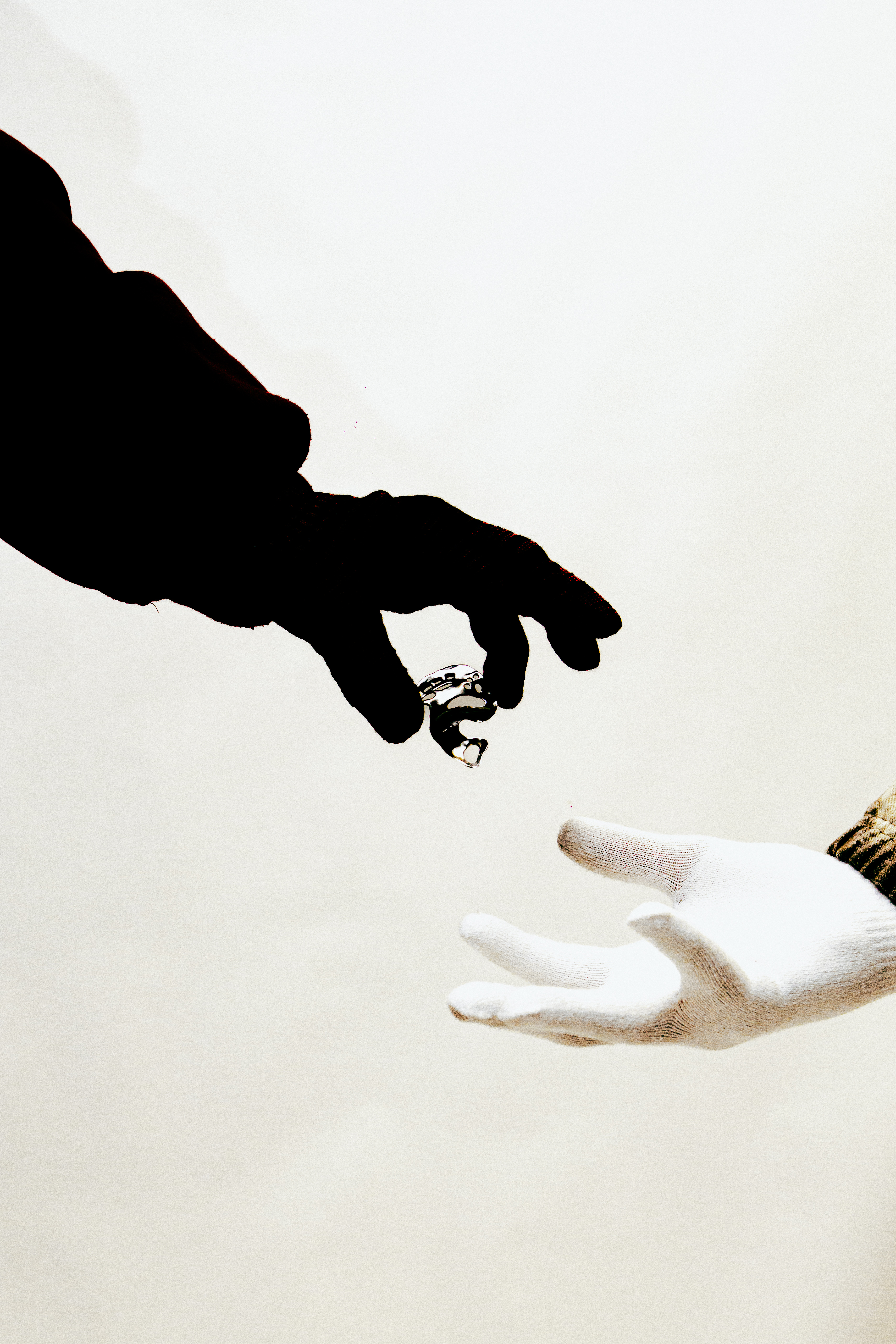 Logística & Entrega